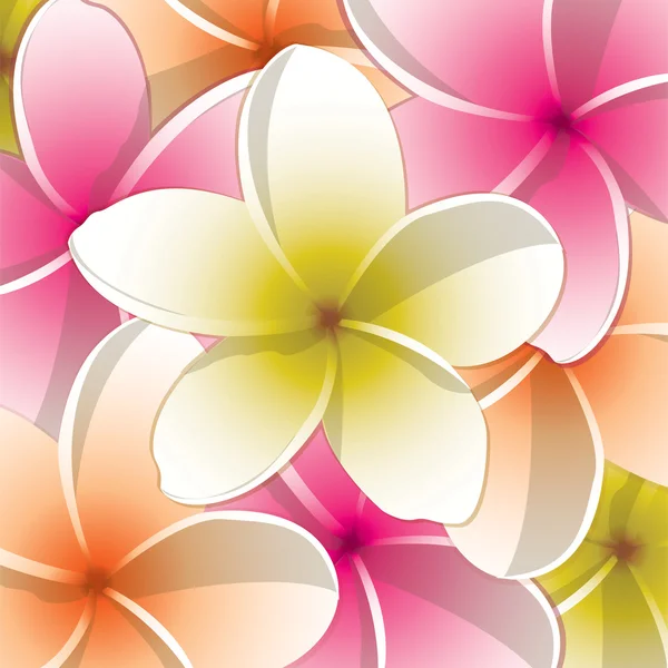 Coloured frangipani background in vector format — Stock Vector