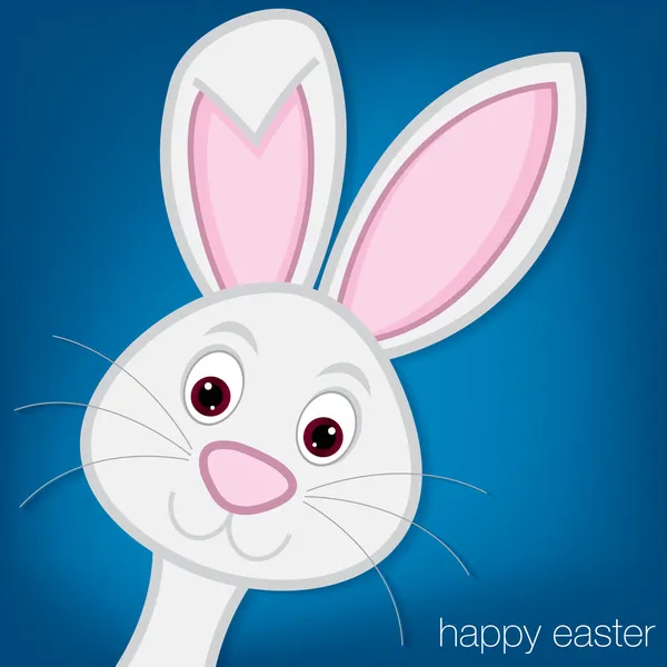 Easter Bunny card — Stock Vector