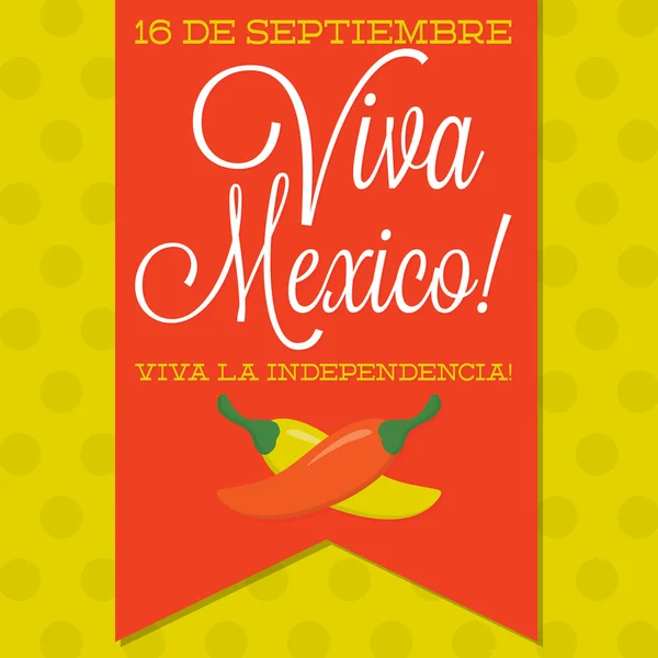 Retro style Viva Mexico card — Stock Vector