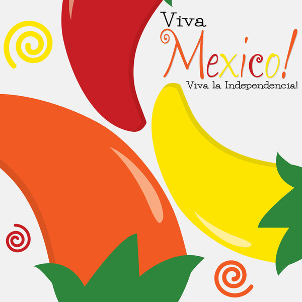 Viva Mexico card