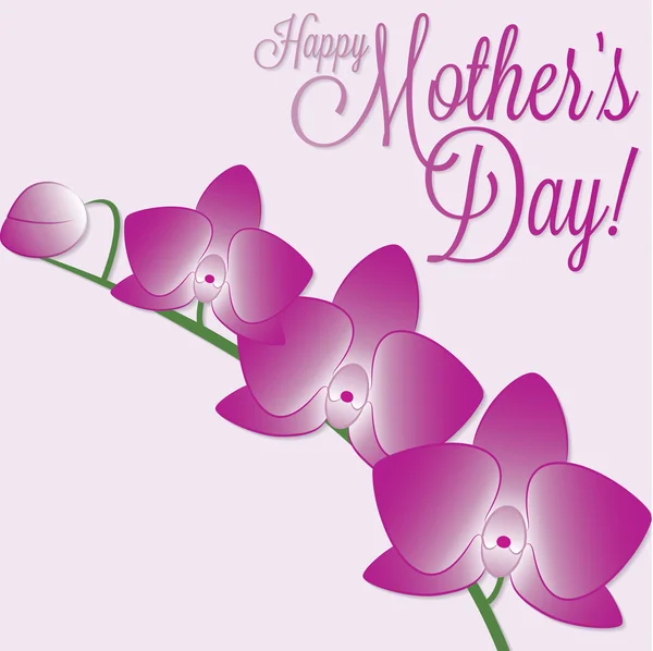 Orchid Mother's Day card Stock Vector Image by ©piccola 45911837