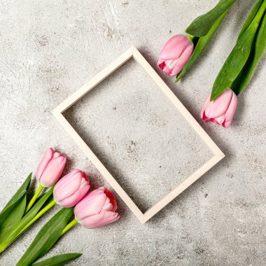 Nihai gri duvarda taze pembe lale çiçekleri