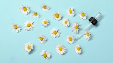 Pastel mavi arka planda doğal atık güzelliği azaltıyor