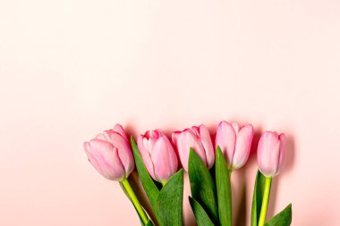 Düz yatıyordu pastel pembe üzerinde lale çiçekleri