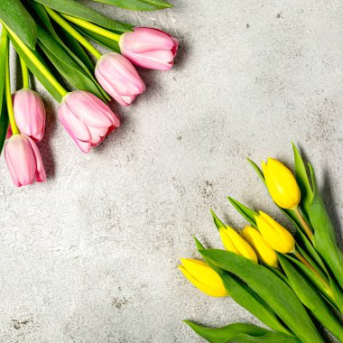 Nihai gri duvarda taze pembe lale çiçekleri