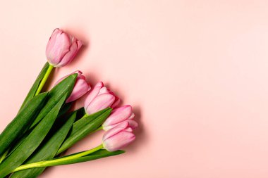 Düz yatıyordu pastel pembe üzerinde lale çiçekleri