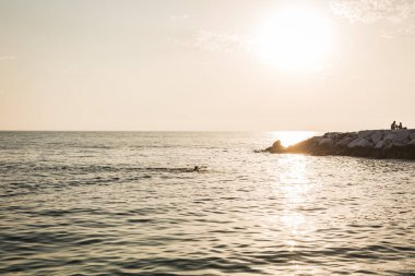 Okyanusta güzel parlak mor gündoğumu