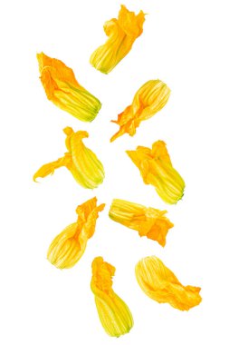 Isolated flying vegetables. Nine courgette flowers falling on white background with clipping path as package design element and advertising. Full depth of field.