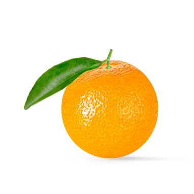 Isolated citrus fruit. One tangerine isolated on white background. Packaging concept. Full depth of field. Clip art image for package design.