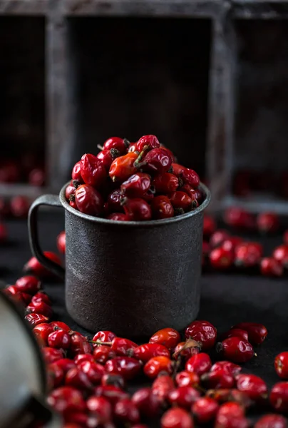 Rosehip Cup Benefits Used Natural Remedy Natural Therapy Dark Mode — Stockfoto