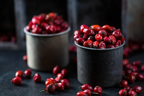 Rosehip in the cup. Benefits and used as a natural remedy. Natural therapy. dark mode style.