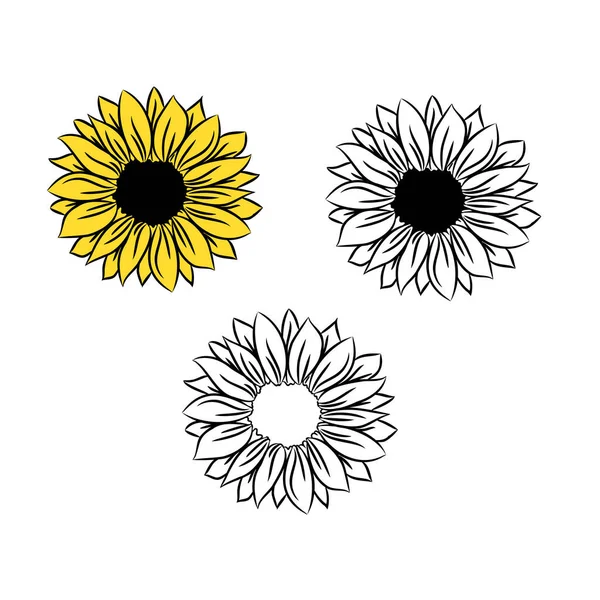 Girasol flores dibujo y contorno. Conjunto de flores en flor. Ilustración en blanco y negro sobre fondo blanco. Monogramas florales — Vector de stock
