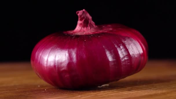 Cebolla roja sobre fondo negro — Vídeos de Stock