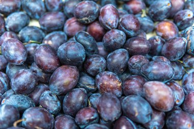 Süpermarkette tezgahın üzerinde taze erikler