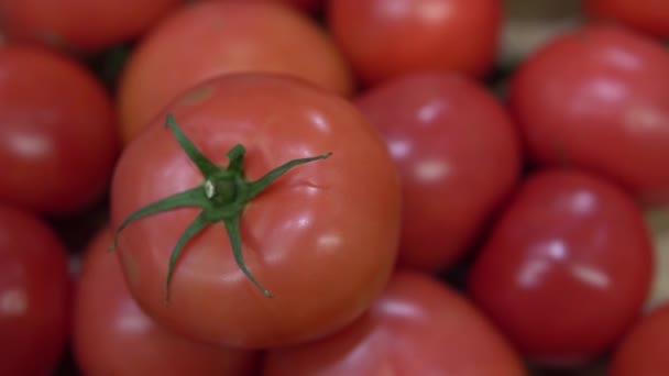 Fresh tomatoes on the counter in the supermarket — Stock Video