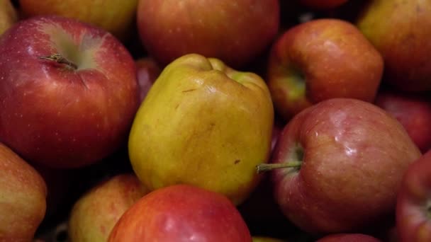 Свежие яблоки на прилавке в супермаркете — стоковое видео