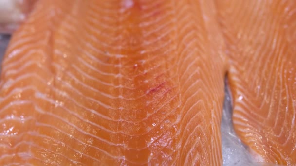 スーパーの氷の上の新鮮な鮭の切り身 — ストック動画