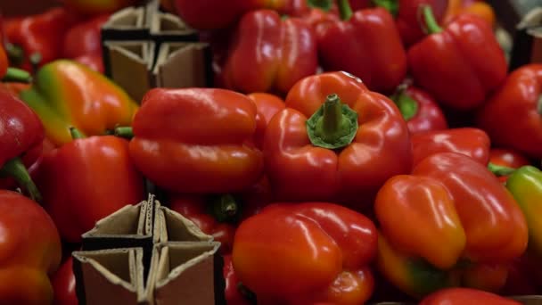 Свіжий болгарський перець на стійці в супермаркеті — стокове відео