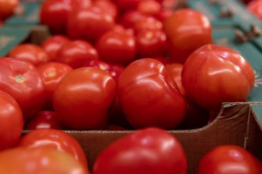 Süpermarkette tezgahın üzerinde taze domatesler