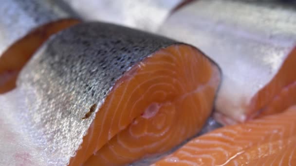 Filete de salmón fresco sobre hielo en un supermercado — Vídeos de Stock