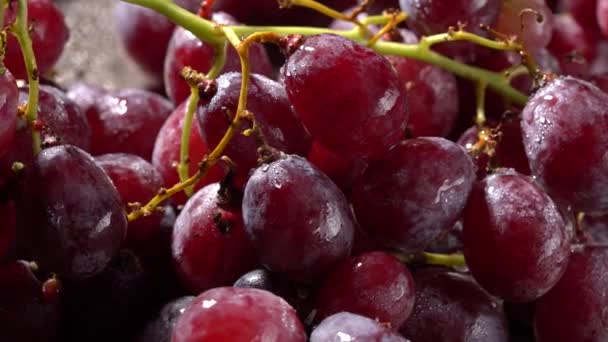 Rote Trauben mit Wassertropfen aus nächster Nähe — Stockvideo