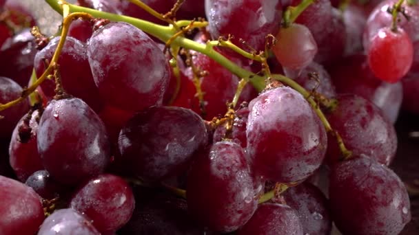 Czerwone winogrona z kroplami wody zbliżyć — Wideo stockowe