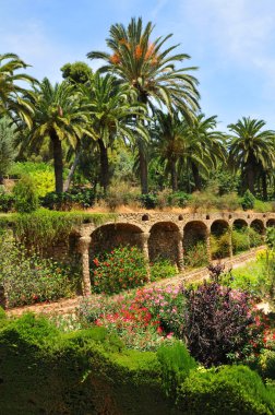 egzotik Bahçe park guell, Barselona, İspanya