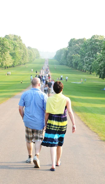 Windsor Great Park — Stock Photo, Image