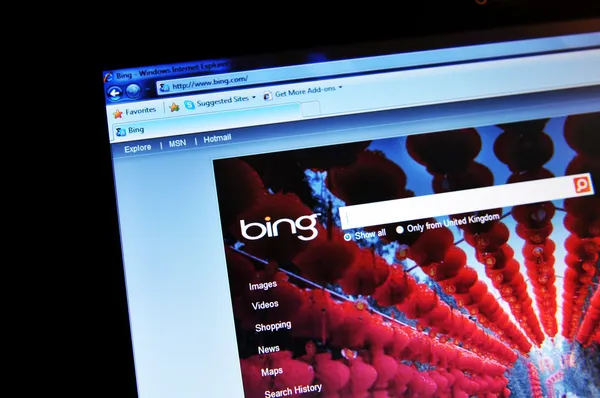 Bing. — Foto Stock