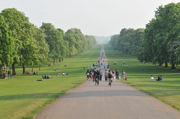 Μεγάλο πάρκο Windsor — Φωτογραφία Αρχείου