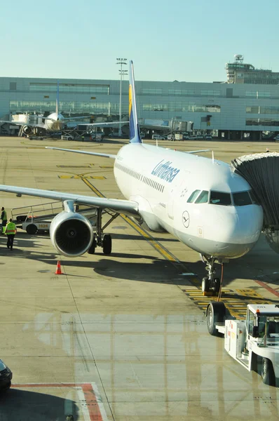 アリタリア航空 — ストック写真