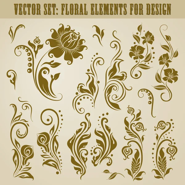 Vector conjunto de elementos florales — Vector de stock