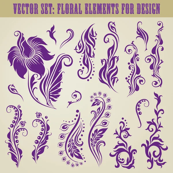 Vector set of floral elements — Stock Vector