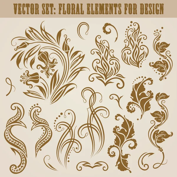 Floral elements — Stock Vector