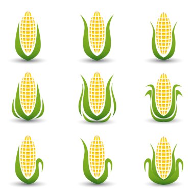 Corn Icon or symbol set