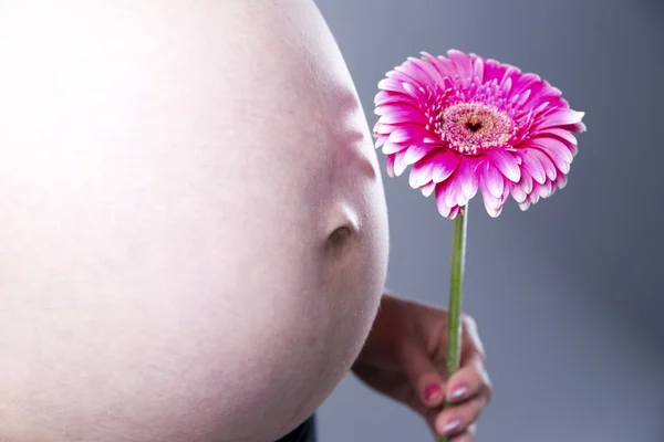 Human Pregnancy — Stock Photo, Image