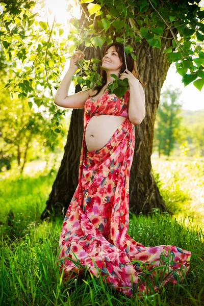 Zwangere vrouw in de natuur — Stockfoto