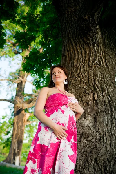 Femeie gravidă în natură — Fotografie, imagine de stoc