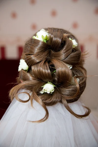 Hairstyle bride — Stock Photo, Image