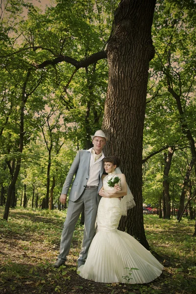 Beautiful young bride and groom — Stock Photo, Image