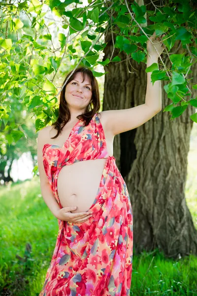 Zwangere vrouw in de natuur — Stockfoto