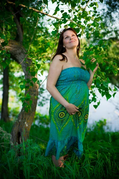 Mujer embarazada en la naturaleza — Foto de Stock