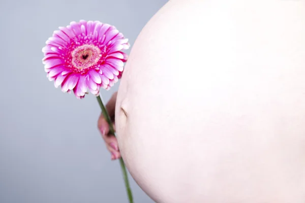 Human Pregnancy — Stock Photo, Image