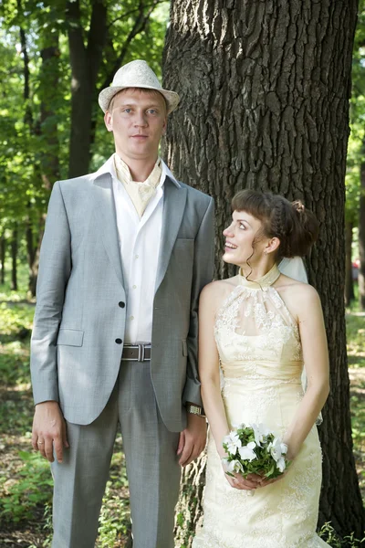 Beautiful young bride and groom — Stock Photo, Image