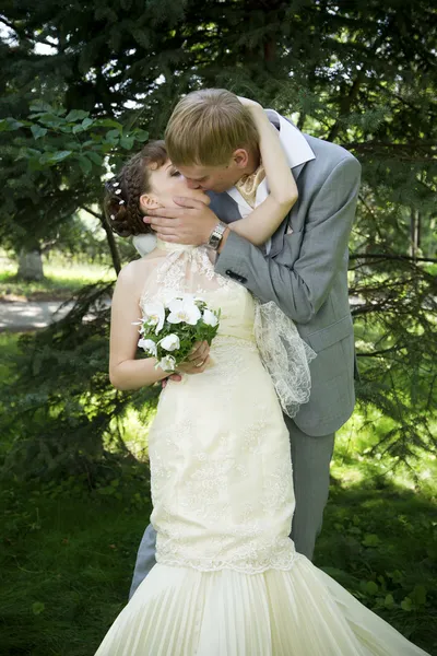 Bride and groom — Stock Photo, Image