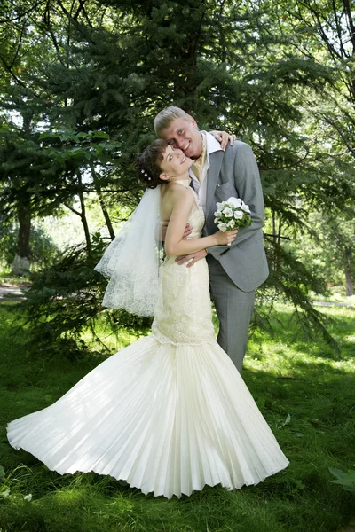 Bride and groom — Stock Photo, Image