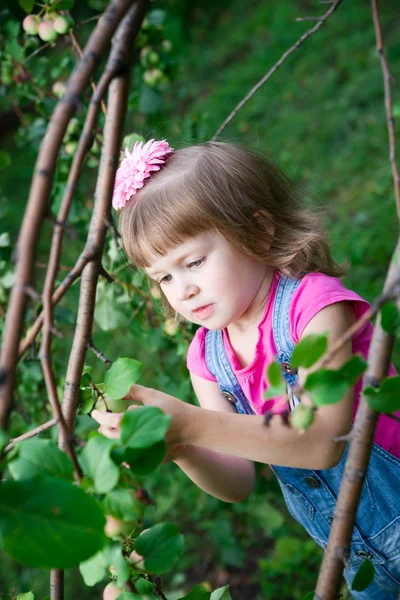 Schöne kleine Mädchen — Stockfoto