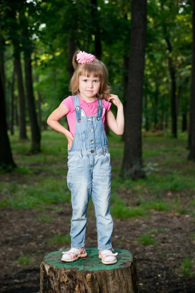 Beautiful little girl — Stock Photo, Image