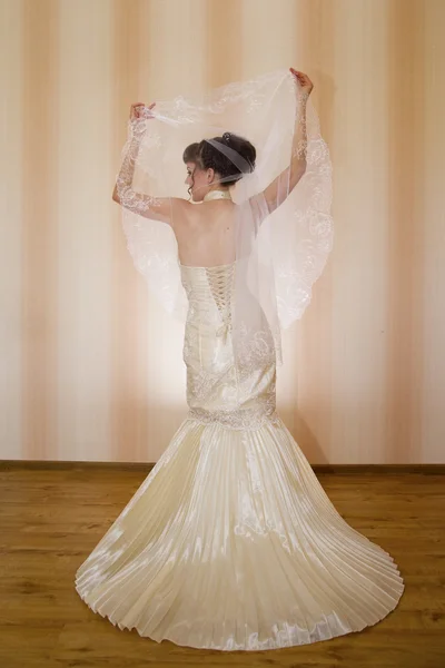 Beautiful young bride — Stock Photo, Image