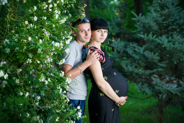 Беременные родители — стоковое фото